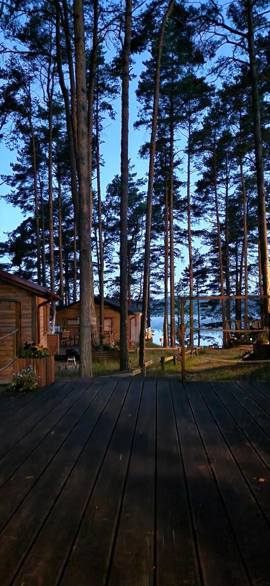 Oslo N°29 Domek Letniskowy Borsk Bagian luar foto